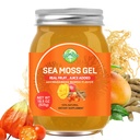 Sea Moss Gel, rohe Flammen irisches Seamoss Gel Immun- und Verdauungsunterstützung Vitamin Mineralische Nahrungsergänzungsmittel, Ashwagandha Mango Flavor 18.5oz