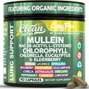 Clean Nutra Mullein Blatt Extrakt für Lunge Cleanse NAC Supplement Chlorophyll Chlorella Elderberry | Lung Detox für Raucher | Ginger Licorice Astragalus Oregano Turmeric Respiratory Support Capsules