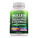 Mullein Blatt Extrakt für Lunge Cleanse NAC Supplement Chlorophyll Chlorella Elderberry Ginger Licorice Astragalus Oregano Turmeric Support 90 Count