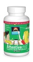 Quelle Naturals Attentives Kind - Gesunde kognitive Nährstoffe für aktive Kinder - Verbesserte Fokussierung mit DMAE, Magnesium, Zink & Traubensaft Extrakt - 60 Tabletten