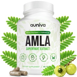 Amla Capsules 1000mg – Indian Gooseberry Amla Fruit Supplement – Amla Powder for Antioxidant, Energy & Digestive Support – Ayurvedic Wellness Formula – 60 Capsules