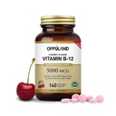 Methyl B-12 5000mcg Chewable with Folate - Vitamin B12 Methylcobalamin Sublingual Tablets - Supports Energy & Brain Function - Vegan Supplement - Cherry Flavor - 140 Count