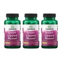 Swanson Green Lipped Mussel (Freeze-Dried) - Neuseeland Joint Health & Mobility Supplement - Natural Formula May Support Heart Health & Digestive Function - (60 Kapseln, 500mg Jeder) (3 Pack)