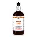 Uva Ursi (Arctostaphylos Uva-Ursi) Dry Herb Tincture, All Natural, Vegan, Pure Liquid Extract - 4 fl.oz