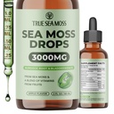 TrueSeaMoss 3000mg Irish Sea Moss Tropfen mit Burdock Root & Bladderwrack für Verdauungssystem & Muskel-Recovery-Unterstützung - 2 Fl Oz Apple NW1