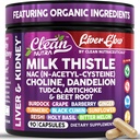 Clean Nutra Organic Milk Thistle Supplement | Liver Cleanse Detox & Repair + NAC Choline Dandelion Root TUDCA Artichoke Beet Root Burdock Holy Basil Kidney & Liver Support 90 Vegan Kapseln