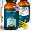 Mullein Leaf Extract - Fast Absorbing Liquid Drops for Lungs, Natural Respiratory Support Herbal Supplement, Alcohol Free Vegan Non-GMO, Natural Mullein Leaf Extract - 60 ml