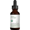 USDA Organic Potassium Iodide 250 mcg Liquid Supplement (6 Month Supply) – 0.253% Elemental Iodine – Dietary Iodine Support – Vegan, Gluten-Free (1 Oz)