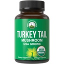 Peak Performance Organic Turkey Tail Capsules - USA Grown Made with Real Turkey Tail Mushroom. Immunsystem Unterstützung Natürlich ernährte Pilz Ergänzungen für Immunität. Vegan Ergänzung Extrakt