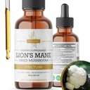 Lion’s Mane Mushroom Liquid Drops – Brain, Focus & Memory Support – Organic Hericium Erinaceus Extract – Natural Nootropic for Clarity & Energy – Vegan, Sugar-Free & Alcohol-Free Tincture