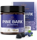 HERBAMA Pine Bark Extract Gummi - 300mg Französisch Maritime Pine Bark Tree für Antioxidans Unterstützung - Vegan, Non-GMO Pinus Pinaster Supplement - 60 Pectin-Based Blueberry-Flavored Chews