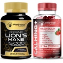 WELLNESS LABSRX Lions Mane Supplement Kapseln - Magnesium Glycinate Gummies 1000mg | Bundle