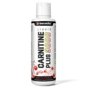 L Carnitine Supplement Liquid 3000 mg, with BCAA Sports Supplements, Help Support Energy Boosts, Support Muscle, Efficient Formula with Acetyl Rapid Absorption, Sustained Energy, Watermelon Flavor