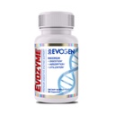 Evogen Evozyme - Premium Digestive Enzymes for Women & Men | Enzymes for Digestion with Absorption & Nutrient Utilization Support | 60 Capsules