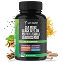 Sea Moss Black Seed Oil Ashwagandha Turmeric Bladderwrack Burdock Root | Advanced Sea Moss Capsules All in One Supplement with Seamoss Black Seed Oil Burdock Root Capsules - 60 Count
