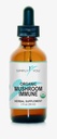 Organic Mushroom Immune Defense Support | Umfassende Immunität System Supplement 2fl oz/59ml Tropfen mit maximaler Absorption & Bioverfügbarkeit | Vegan, Kräuter 525mg pro Portion ● 2 Monate Versorgung