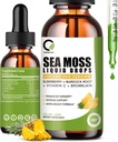Sea Moss Drops 2000mg, Irish Sea Moss Supplement unterstützt Immunität, mit Black Elderberry, Burdock Root, Bromelain, Vitamin C & Zink, 2 Fl.Oz, Ananas Flavor