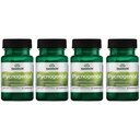 Swanson Pycnogenol 100 Milligrams 30 Capsules 4 Pack
