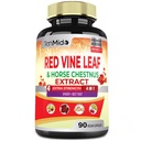 Rote Vine Blatt Extrakt Kapseln - mit Pferd Chestnut, Beet Root, Ginger - Kräuterergänzung für Herz, Leg Vein & Energy - 90 Vegan Kapseln für 45 Tage