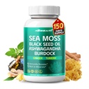 Sea Moss Supplement - 16-in-1 Natural Blend mit schwarzem Seed Oil Ashwagandha Burdock Bladderwrack Ginger Dandelion - 150 Count - Made & Tested in USA