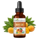 Extrait de feuille de mangue de papaye à base de plantes - parent (1)