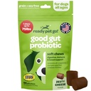 Probiotic Chews für Hunde Gut Health | Tasty Pre and Probiotics for Dogs Digestive Health with Pumpkin Dog Probiotics and Digestive Enzymes | NASC Certified & Made in USA | 60 Chews