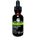 Cedar Bear Stomach Settler with Ginger a Liquid Herbal Supplement That Helps Calm a Mild Upset Stomach 1 Fl Oz