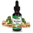 Nature's Answer Alcohol-Free Burdock Root 2000mg 1oz Extract | Promotes Overall Wellbeing | Gluten-Free, Non-GMO, Vegan, No Artificial Flavors or Preservatives | Single Count