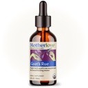 Motherlove Goat’s Rue (2 Ounce Tincture) Schnürungsergänzung für Brustgewebe Entwicklung & Brustmilchversorgung Optimierung – USDA Certified Organic, Vegan, Kosher, Soy-Free