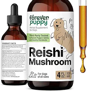 Forever Puppy Red Reishi Mushroom Tincture für Hunde - Immununterstützungsergänzung - Pilz Tropfen w/Reishi Extrakt - Flüssige Vitamine und Ergänzungen - Alle Rassen & Größen - Zucker & Alkoholfrei - 4 oz