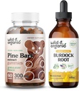 Extrait d'écorce de pin sauvage et biologique Gummies & Teinture de racine de bardane 4 fl oz