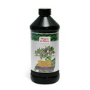 Clorofila Liquida Superconcentrado con Menta, 16 oz