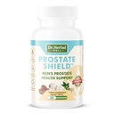 DR. HERBAL WELL Prostate Shield – Clinically Tested Immune-Boosting 100% Natural No Added Vitamins Minerals or Sugar