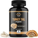 Bio Türkei Tail Mushroom Kapseln Fruchtkörper Extrakt | GMO & Allergen-Free, Coriolus Versicolor Tägliche Kräuter, 90 Kapseln