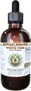 White Pine Alcohol-Free Liquid Extract, White Pine (Pinus Strobus) Getrocknete Bark Glycerite natürliche Kräuterergänzung, Hawaii Pharm, USA 4 fl.oz