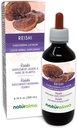 Naturalma Reishi (Ganoderma lucidum) Fungo o alcool senza funghi Tintura - 6.76 fl oz Estratto liquido in gocce - Supplemento di erbe - Vegan