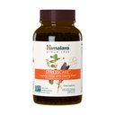 Himalaya StressCare Kräuter-Ergänzung, unterstützt Stress-Relief, Energie-Unterstützung, Entspannung, Freizeit Schlaflosigkeit, Ashwagandha, Heilige Basil/Tulsi, Gotu Kola, Non-GMO, Vegetarisch, 240 Kapseln