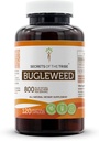 Secrets of the Tribe Bugleweed 120 Kapseln, 800 mg, Bugleweed (Lycopus Virginicus) Getrocknete Kräuter (120 Kapseln)