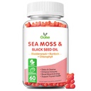 Sea Moss Gummi für Erwachsene Kinder mit Chlorophyll, Bladderwrack, Burdock Root, Blck Seed Oil, Vitamin C & D3, Zink, 8-in-1 Potent Formula unterstützt Immunsystem & Boost Energy (1-Pack)
