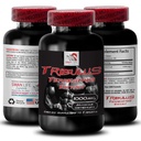 Nature-Inspired Energy - TRIBULUS TERRESTRIS EXTRACT - Strength Activation, Vitality Boost, Daily Power Support, Muscle Fuel, Energy Revitalization, Stamina Enhancement 1 Bottle 90 Tablets