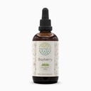 HerbEra Bayberry B120 Alcohol-Free Herbal Extract Tincture, Super-Concentrated Bayberry (Myrica Cerifera) Dried Root (4 fl oz)
