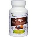 Sayan Siberian Chaga Mushroom Extract – 90 Kapseln/420mg ea – Natürliche & wild-Harvest Antioxidante Ergänzung – Immunsystem Unterstützung & Regulate Körperfunktionen – Vegan, Non-GMO, keine Füllstoffe oder Additive