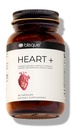 Blisque – Natürliche Blutdruck-Ergänzung für Herzgesundheit und Zirkulation | Doctor-Approved | mit 200 mg CoQ10, Hawthorn Berry, Beet Root, Turmeric | 90 Kapseln