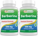 Best Naturals Berberine 500mg 120 Kapseln - Unterstützt Immunfunktion, Herz-Kreislauf- und Gastrointestinalfunktion (120 Zähler (Pack von 2))
