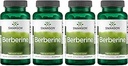 Swanson Berberine Supplement - 400 mg Jeder, 60 Kapseln - Berberine HCl mit Gesamt Wellness-Unterstützung (4 Packung)