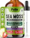Pella Nutrition Sea Moss Tropfen mit Bladderwrack – 4X schnellere Absorption als Irish Sea Moss Gel Superfood, Gummie und Kapseln – Digestive & Immun Support Supplement (Strawberry Lime, 60mL)