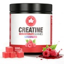 99.9% Creatine Monohydrate Gummies 5000mg for Men & Women,with Taurine & B12, Muscle Growth & Energy Support, Raspberry