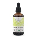 Black Walnut USDA Organic Alcohol-Free Extract | Dietary Supplement, High-Potency Tincture | Natural Certified Organic Black Walnut (Juglans Nigra) Dried Hull (4 oz)