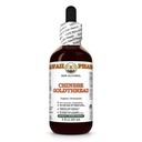 Chinese Goldthread (Coptis Chinensis) Dry Root Glycerite, Made in Hawaii, All Natural, Vegan, Lab Tested Alcohol-Free Liquid Extract - 2 fl.oz