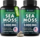 Capsule per il mare - Moss irlandese Avanzato con Burdock Root, Bladderwrack & Muira Puama per l'immunità, Gut, & Energy - Integratori per il Moss del Mare Superfood W/Raw Sea Moss Powder (2 Pack)